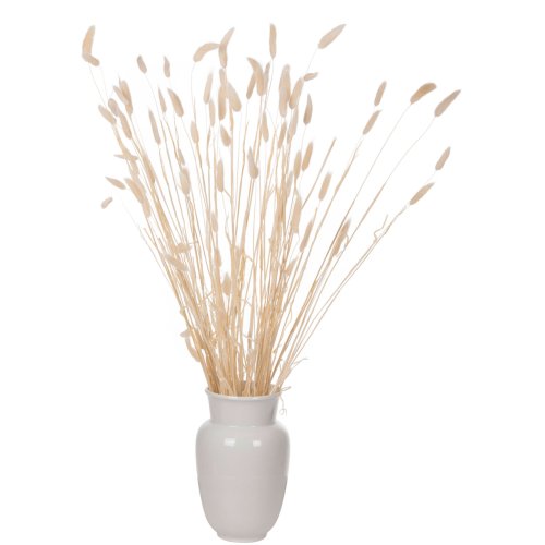 DEKORATIVER GETROCKNETER BOUQUEΤ KANINCHENSCHWANZ CREME 76cm