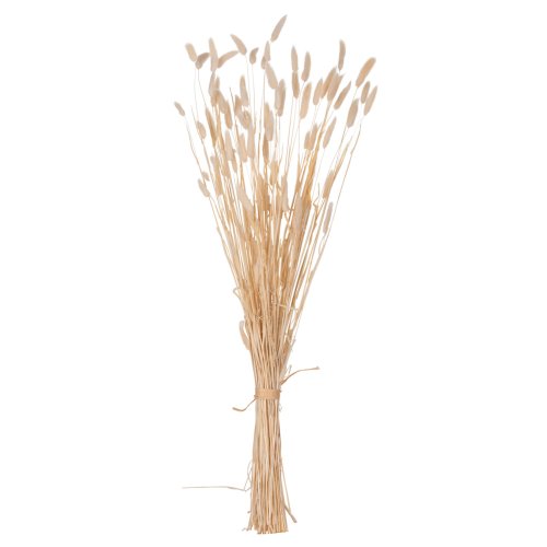 DEKORATIVER GETROCKNETER BOUQUEΤ KANINCHENSCHWANZ CREME 76cm