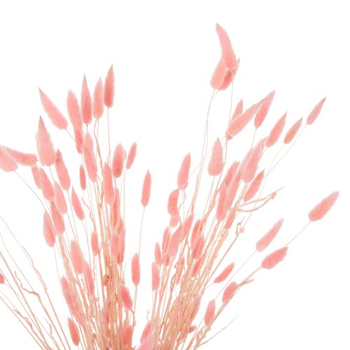 DEKORATIVER GETROCKNETER STRAUSS KANINCHENSCHWANZ-ROSA 75cm