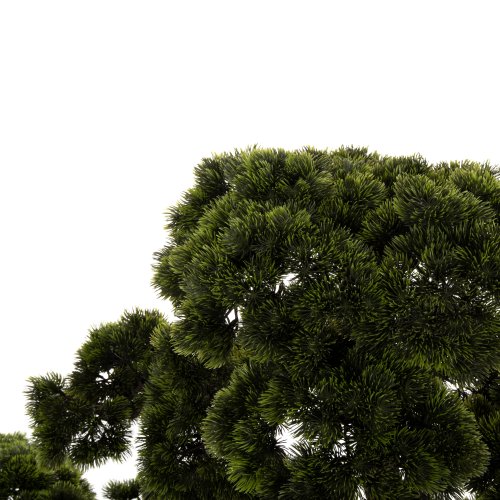 DEKORATIVE SYNTHETISCHE PFLANZE IM TOPF SCHÖNER KIEFERBAUM (BONSAI) 55x130x114Hcm
