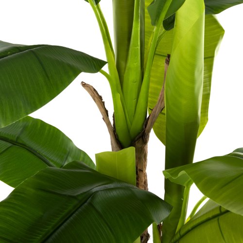 DEKORATIVE SYNTHETISCHE PFLANZE BANΑΝΑ-BAUM IM TOPF 150 cm