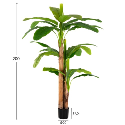 DEKO BANANENBAUM IM TOPF 200 cm