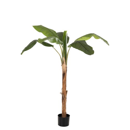 DEKO BANANENBAUM IM TOPF 200 cm