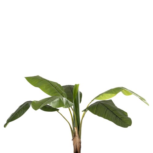 DEKORATIVE SYNTHETISCHE PFLANZE BANΑΝΑ-BAUM IM TOPF 180 cm