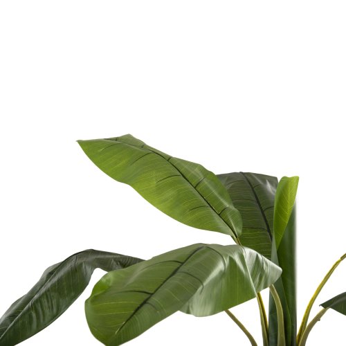 DEKORATIVE SYNTHETISCHE PFLANZE BANΑΝΑ-BAUM IM TOPF 180 cm