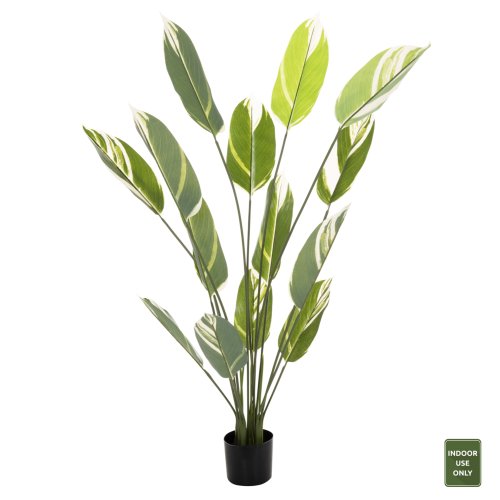 DEKORATIVE SYNTHETISCHE PFLANZE IM TOPF CALATHEA 140Hcm