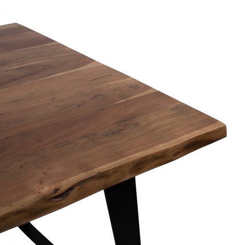 Tisch Alicia  aus massivem Akazienholz 200x95x78 cm | Baumstamm Möbel