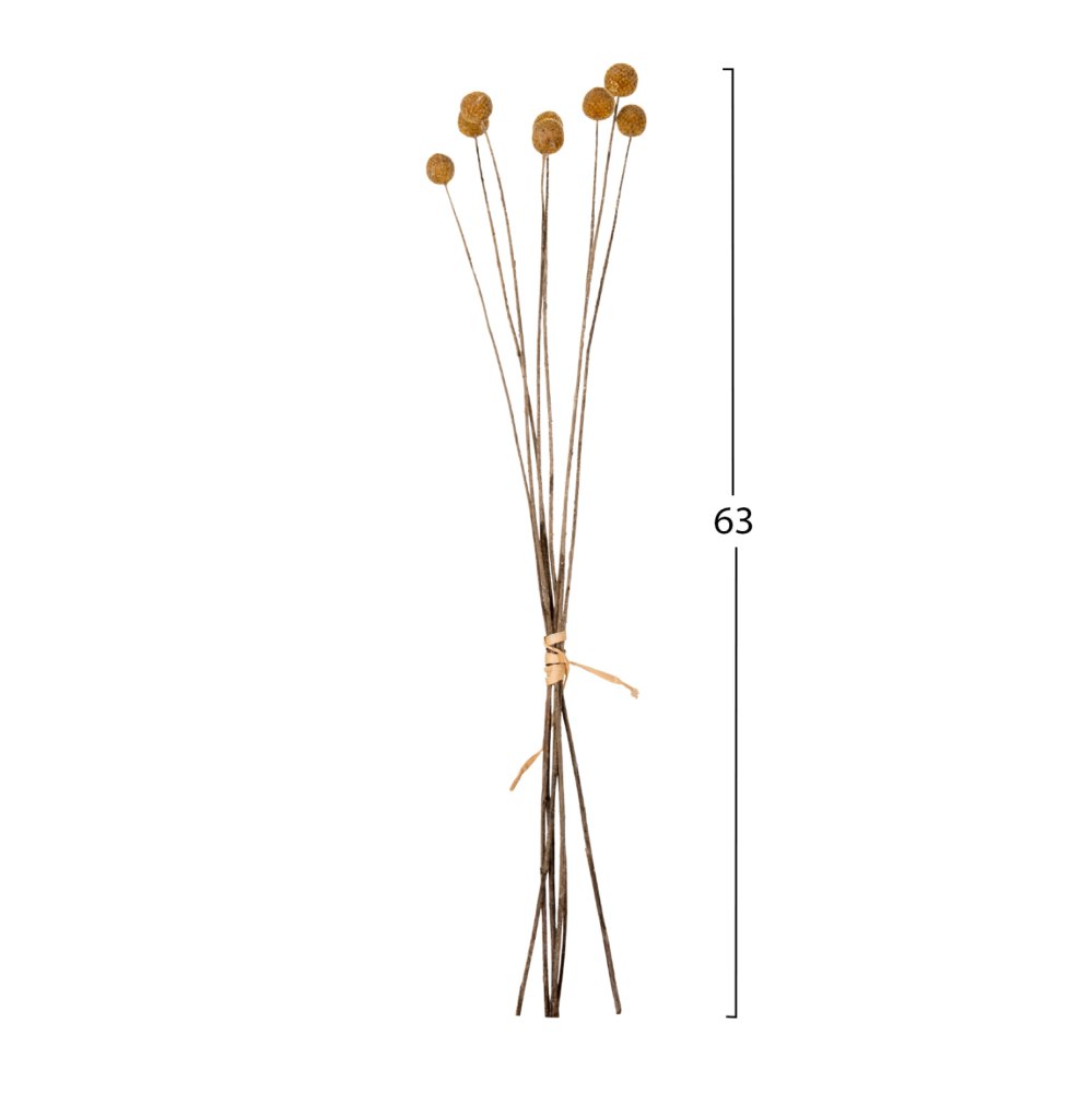 DEKORATIVER GETROCKNETER STRAUSS CRASPEDIA GLOBOSA GELB 63cm