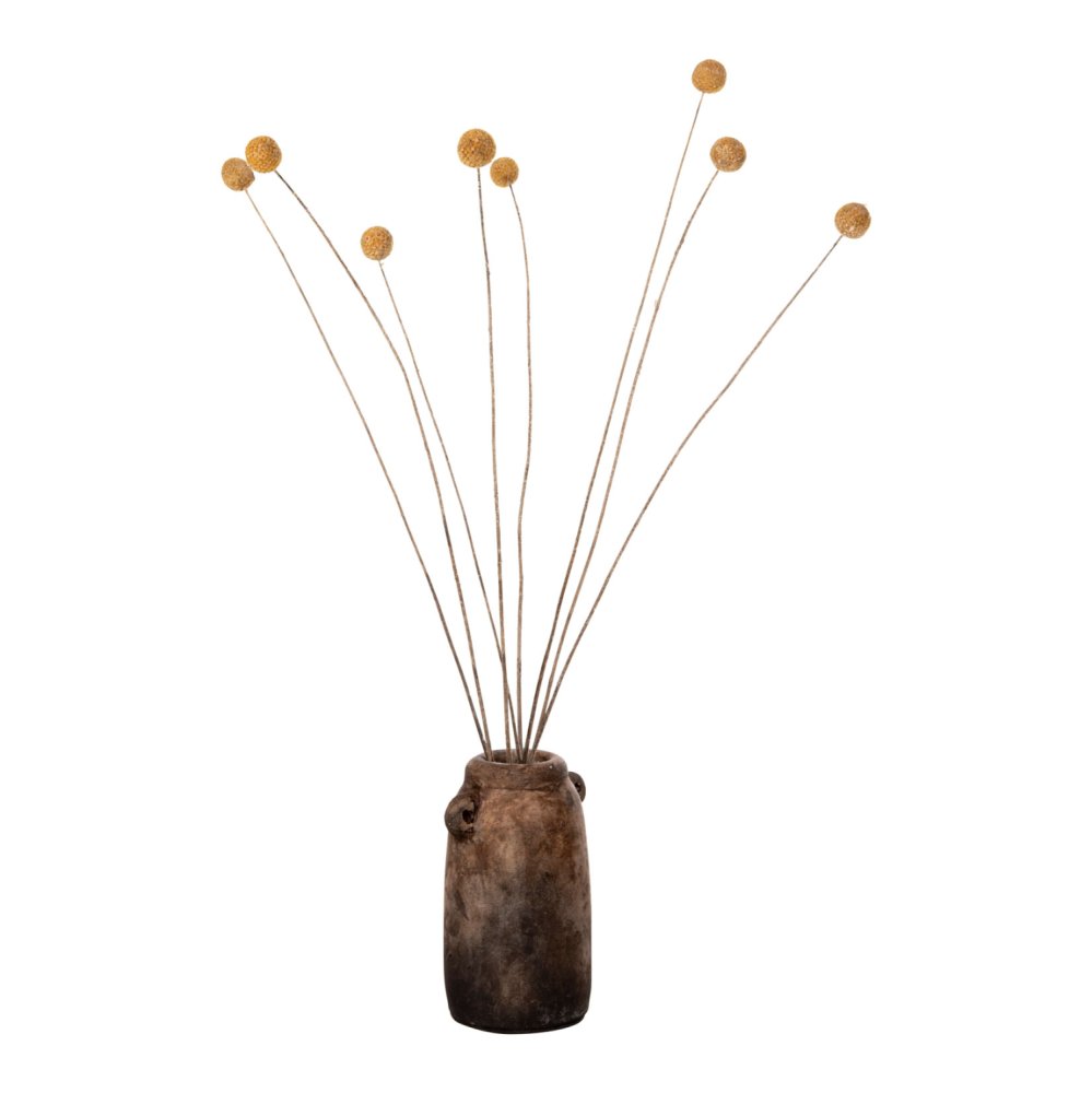 DEKORATIVER GETROCKNETER STRAUSS CRASPEDIA GLOBOSA GELB 63cm