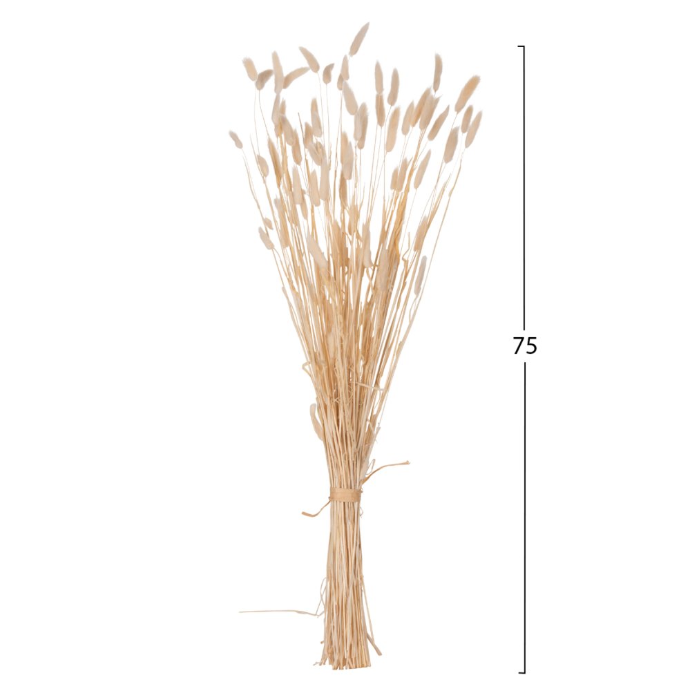 DEKORATIVER GETROCKNETER BOUQUEΤ KANINCHENSCHWANZ CREME 76cm