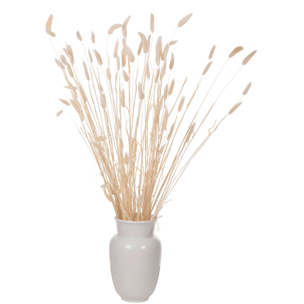 DEKORATIVER GETROCKNETER BOUQUEΤ KANINCHENSCHWANZ CREME 76cm