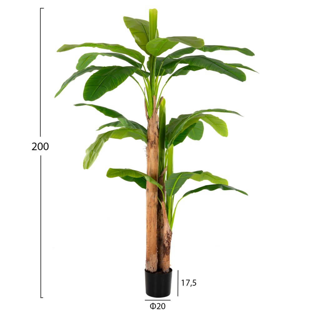 DEKO BANANENBAUM IM TOPF 200 cm