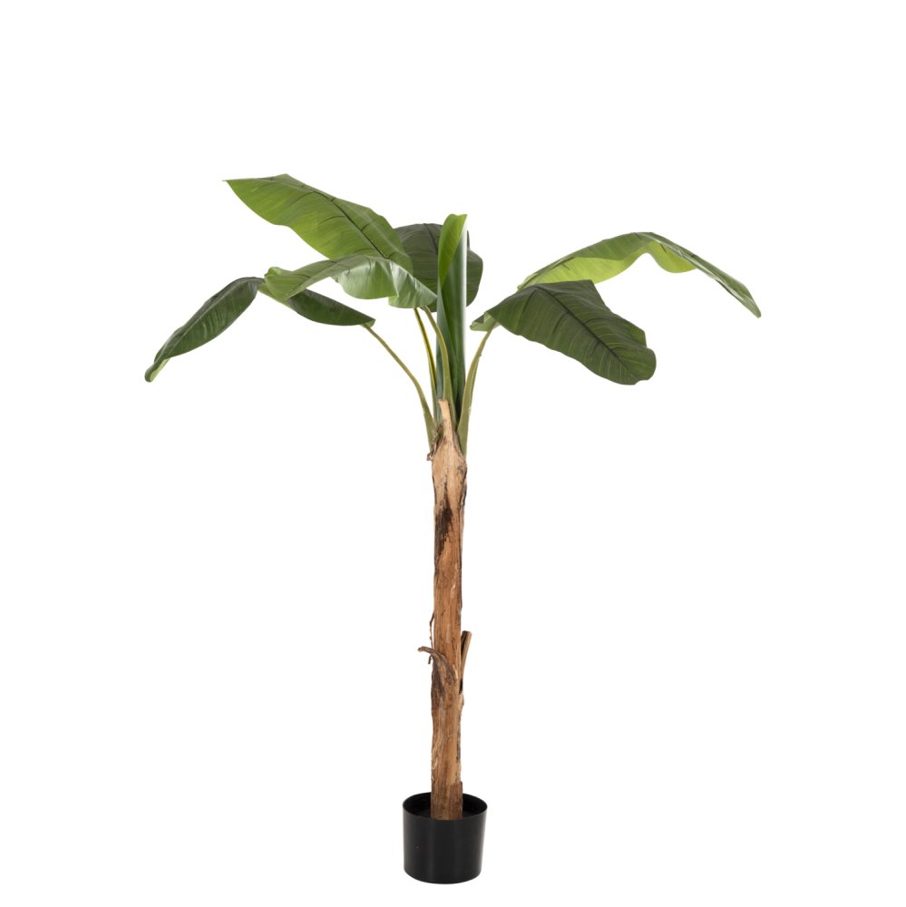 DEKO BANANENBAUM IM TOPF 200 cm