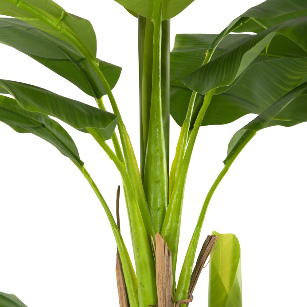 DEKO BANANENBAUM IM TOPF 200 cm
