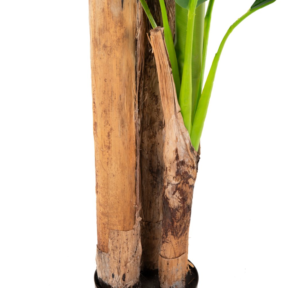 DEKO BANANENBAUM IM TOPF 200 cm