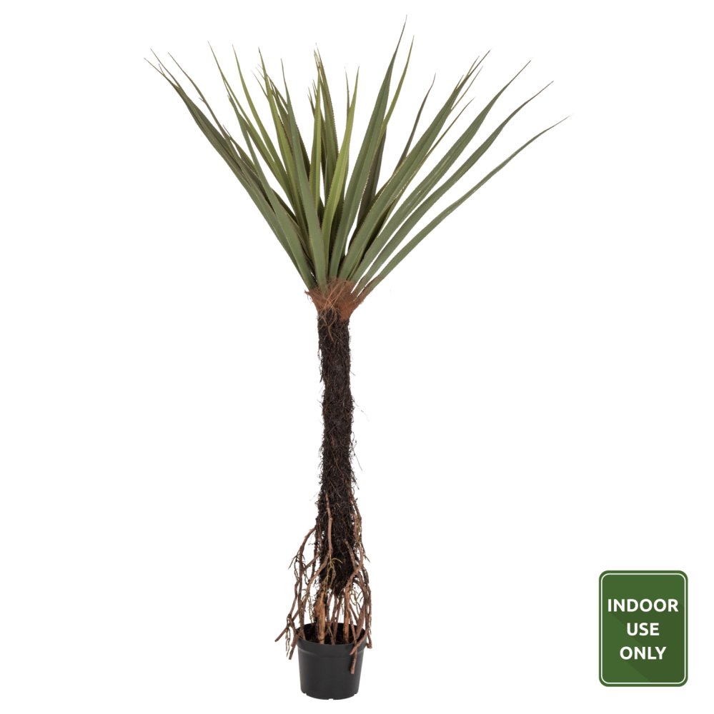 DEKORATIVE SYNTHETISCHE PFLANZE SISALBAUM IM TOPF 200 cm