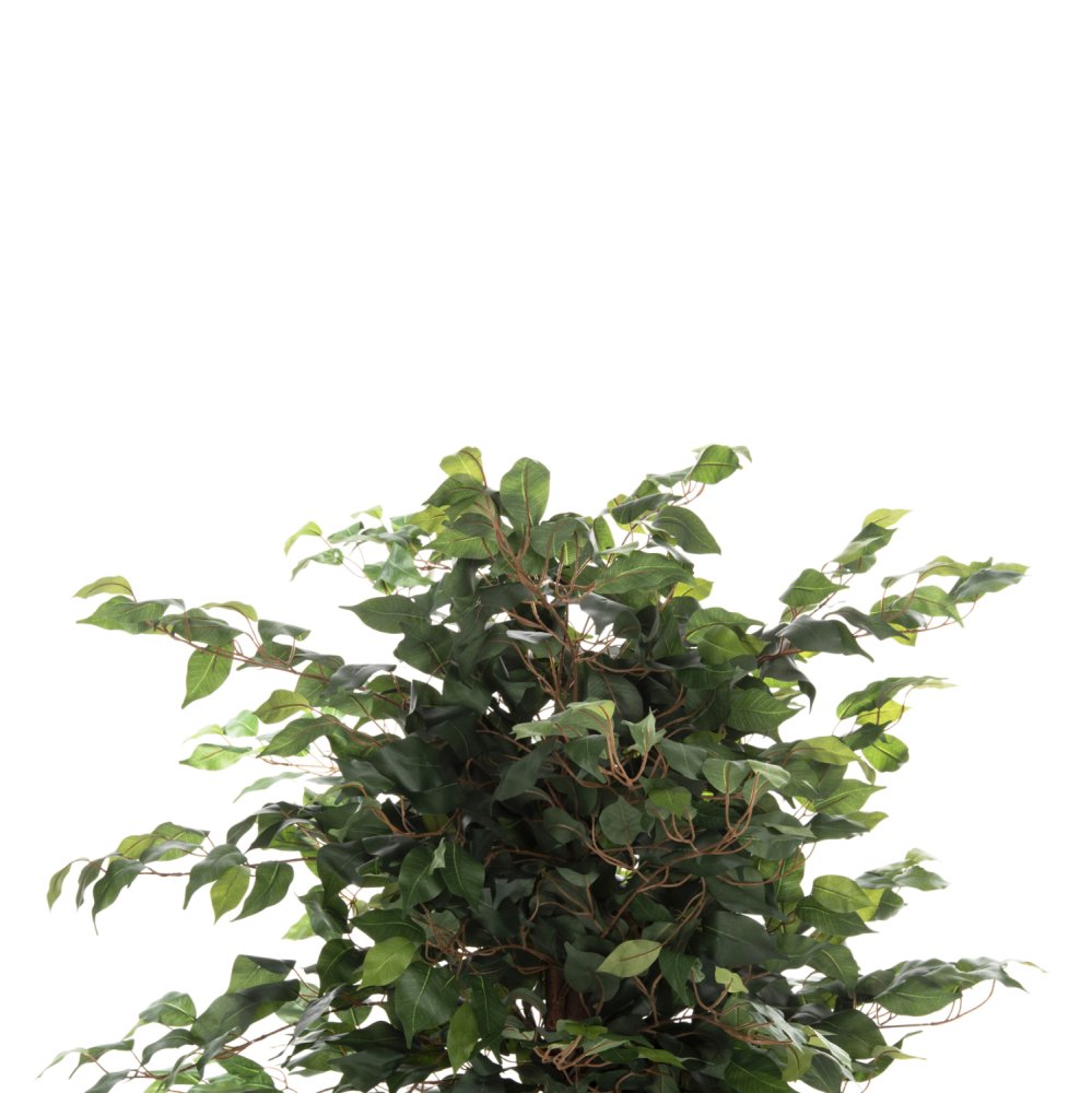 DEKORATIVE SYNTHETISCHE PFLANZE Banianbaum im Topf 136cm