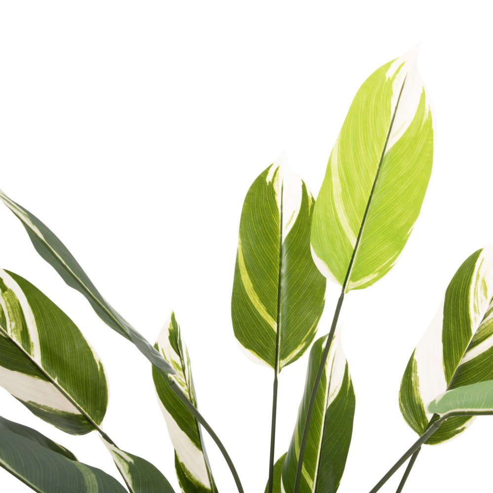 DEKORATIVE SYNTHETISCHE PFLANZE IM TOPF CALATHEA 140Hcm