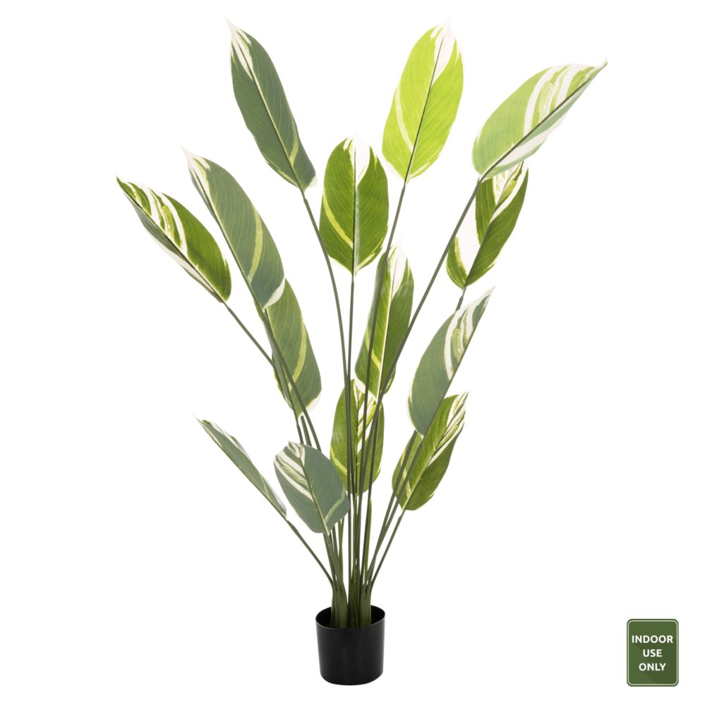 DEKORATIVE SYNTHETISCHE PFLANZE IM TOPF CALATHEA 140Hcm